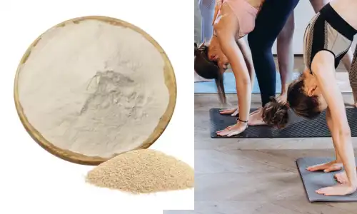 Yeast Extract Beta Glucan Powder: A Powerful Supplement for Wellness